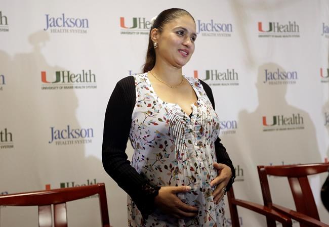 Frequent exams only treatment for pregnant woman with Zika | iNFOnews.ca Frequent exams only treatment for pregnant woman with Zika | iNFOnews.ca