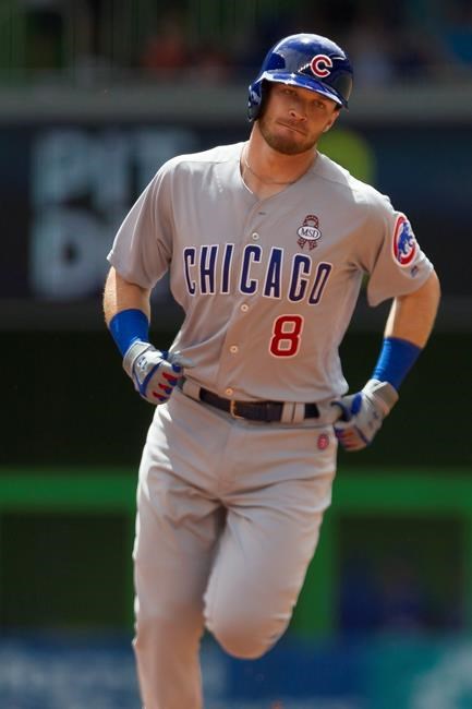 Cubs' Happ hits home run on 1st pitch of 2018 MLB season | iNFOnews.ca Cubs' Happ hits home run on 1st pitch of 2018 MLB season | iNFOnews.ca