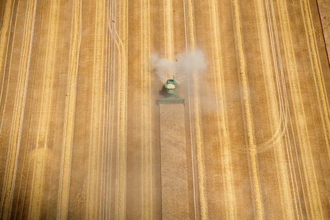German farmers expect poor harvest amid drought, record heat | iNFOnews.ca German farmers expect poor harvest amid drought, record heat | iNFOnews.ca