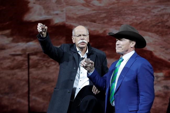 Daimler CEO Zetsche to step down early, succeeded by insider | iNFOnews.ca Daimler CEO Zetsche to step down early, succeeded by insider | iNFOnews.ca