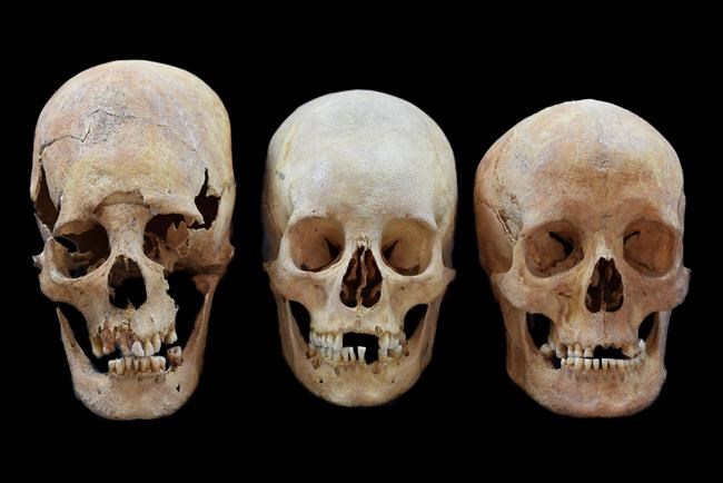 Skulls show women moved across medieval Europe, not just men | iNFOnews.ca Skulls show women moved across medieval Europe, not just men | iNFOnews.ca