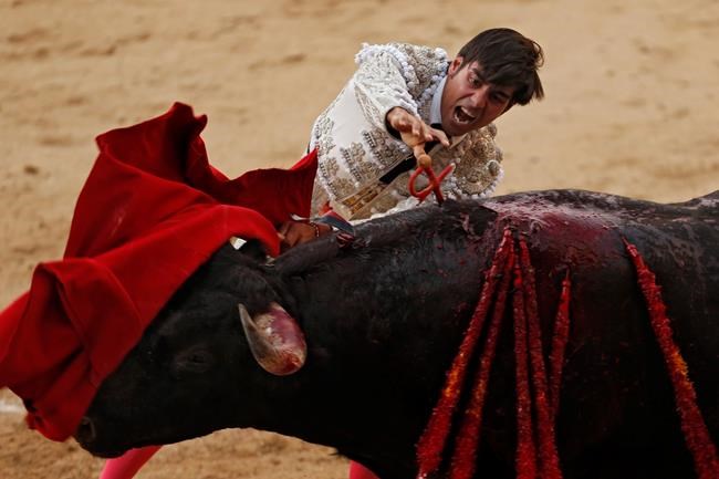 Spanish islands approve booze-free and bloodless bullfights | iNFOnews.ca Spanish islands approve booze-free and bloodless bullfights | iNFOnews.ca