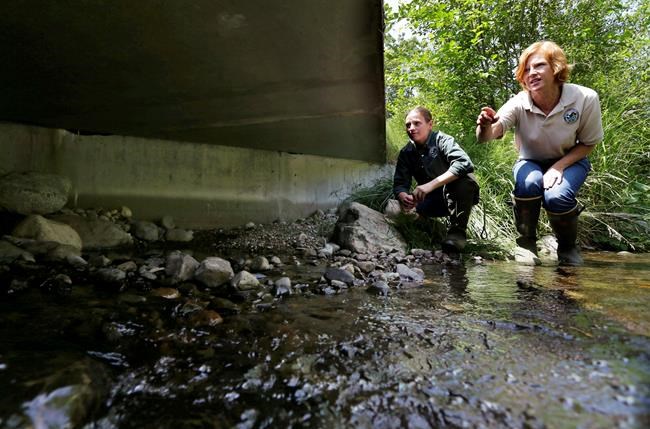 Supreme Court tie favours Indian tribes in Washington state | iNFOnews.ca Supreme Court tie favours Indian tribes in Washington state | iNFOnews.ca