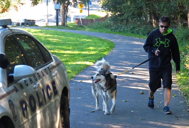 Rash of unsolved homicides puts people on edge in Anchorage | iNFOnews.ca