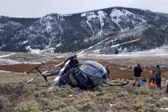 After elk crashes copter, some question wildlife chopper use | iNFOnews.ca