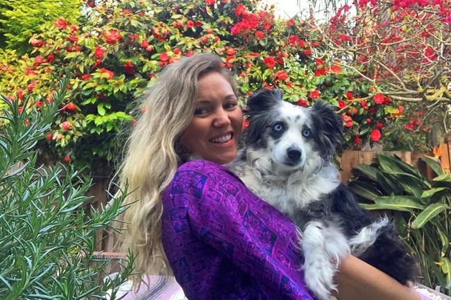 Dog found 4 months after being stolen from San Francisco | iNFOnews.ca Dog found 4 months after being stolen from San Francisco | iNFOnews.ca