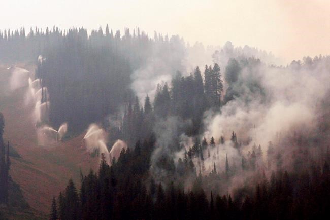 Forest at famed Idaho ski area facing wildfires, insects | iNFOnews.ca