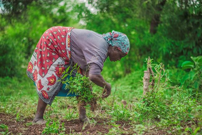 Fear of robots taking jobs spurs a bold idea: guaranteed pay | iNFOnews.ca