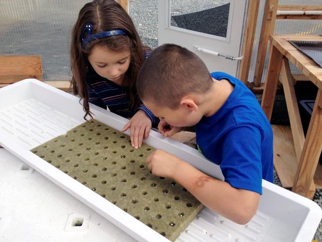 Alaska counters lack of fresh veggies with greenhouse guide | iNFOnews.ca