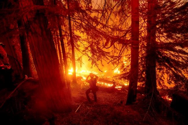 California plans $536M for forests before wildfire season | iNFOnews.ca California plans $536M for forests before wildfire season | iNFOnews.ca