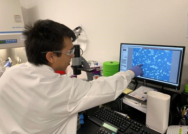 Under a microscope: Startups grow meat in lab, face scrutiny | iNFOnews.ca