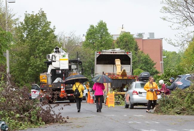 Ottawa hit with another tornado, residents complain they got no warning | iNFOnews.ca Ottawa hit with another tornado, residents complain they got no warning | iNFOnews.ca