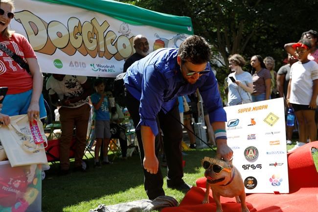 Doggy Con: a pop culture convention for furry fanatics | iNFOnews.ca Doggy Con: a pop culture convention for furry fanatics | iNFOnews.ca