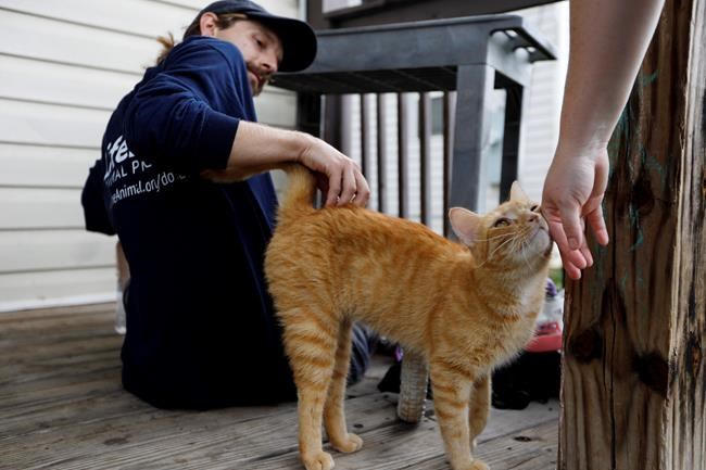 Saving pets: Program lends hand to low-income animal owners | iNFOnews.ca Saving pets: Program lends hand to low-income animal owners | iNFOnews.ca