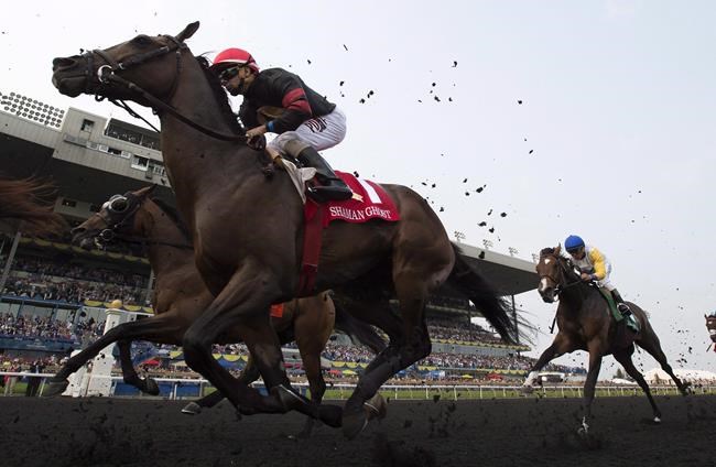 No quiet time during quarantine for Woodbine jockey Rafael Hernandez | iNFOnews.ca