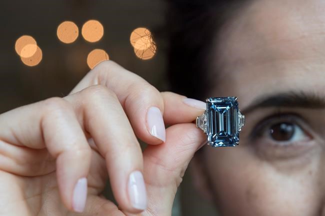 Record crushed, diamond intact: Oppenheimer Blue draws $58M | iNFOnews.ca