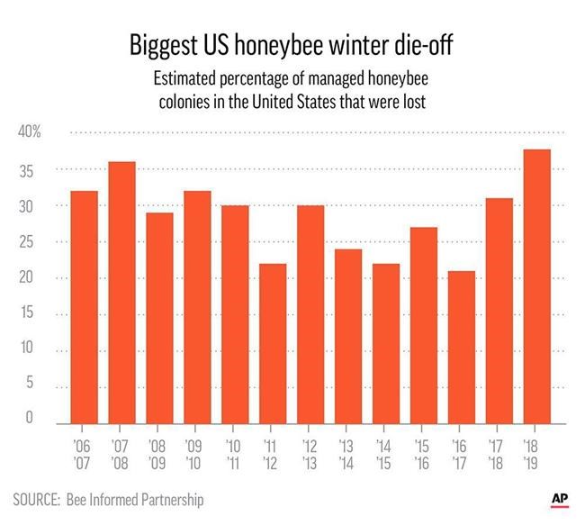 Survey sees biggest US honeybee winter die-off yet | iNFOnews.ca CP1110350081