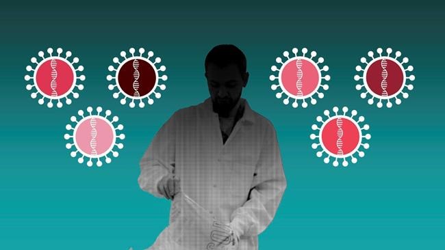 Has the coronavirus mutated in any significant way? | iNFOnews.ca Has the coronavirus mutated in any significant way? | iNFOnews.ca