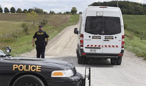 CP29886144