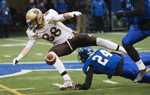 Davidson's 2 touchdown receptions lead Carabins 29-26 over Bisons in Uteck Bowl | iNFOnews.ca CP30816940