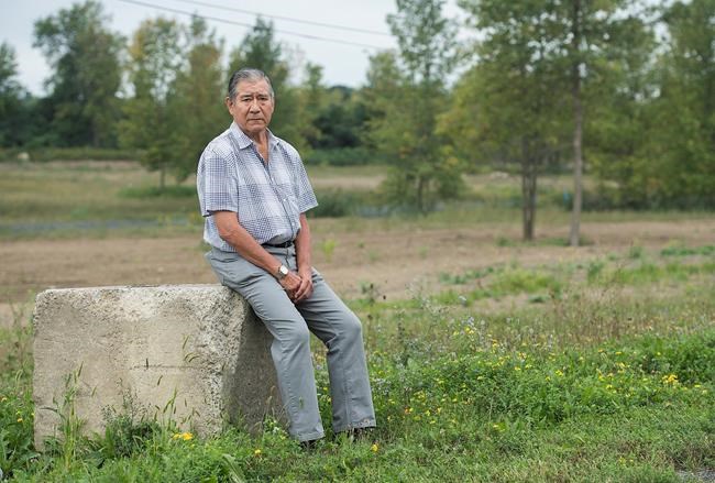 First Nations look to secure a piece of the cannabis pie ahead of legalization | iNFOnews.ca First Nations look to secure a piece of the cannabis pie ahead of legalization | iNFOnews.ca