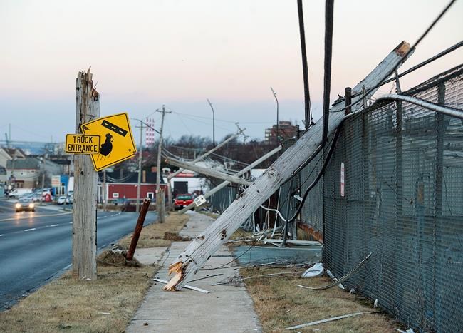 Nova Scotians help Ottawa family have 'best Christmas ever' despite storm | iNFOnews.ca