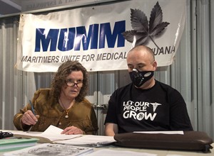 Medical marijuana user says new Health Canada regulations are discriminating | iNFOnews.ca CP32245013