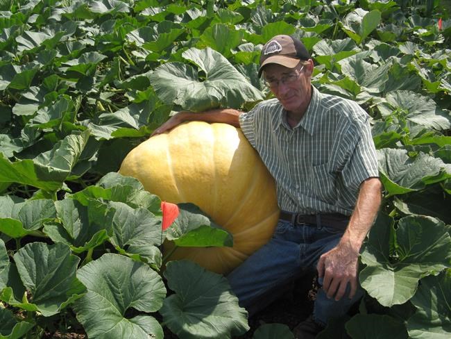 Wet weather in the west and dry weather in the east affecting crops | iNFOnews.ca Wet weather in the west and dry weather in the east affecting crops | iNFOnews.ca