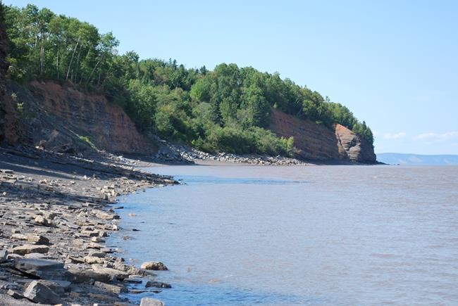 Ancient fish species discovered in Nova Scotia, opens door for future research | iNFOnews.ca