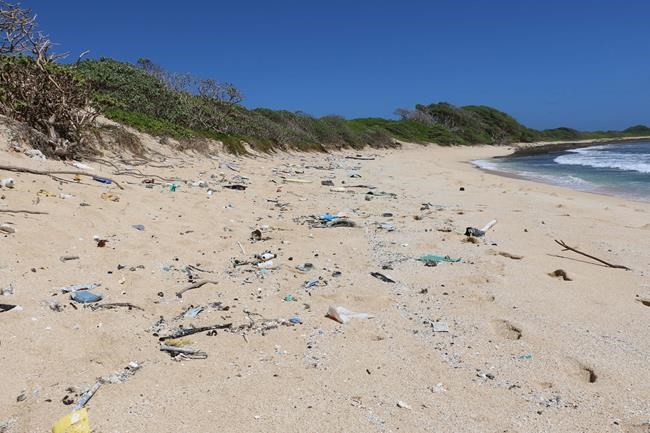 Aerial surveys document ocean debris around Hawaii | iNFOnews.ca