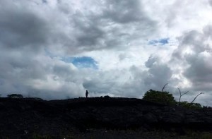 CP115717832