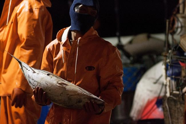 Hawaii court hears case on legality of foreign fishing labour | iNFOnews.ca Hawaii court hears case on legality of foreign fishing labour | iNFOnews.ca