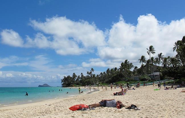 Hawaii: Airbnb has acknowledged hosts not paying all taxes | iNFOnews.ca