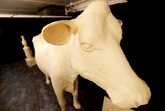 The Iowa State Fair is opening. Time to visit the Butter Cow | iNFOnews.ca The Iowa State Fair is opening. Time to visit the Butter Cow | iNFOnews.ca