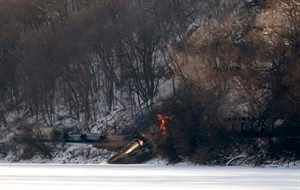 CP31763384