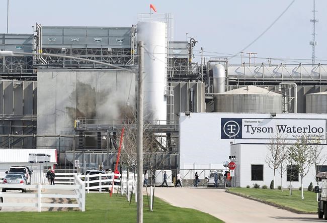Fired Tyson boss says COVID office pool was a 'morale boost' | iNFOnews.ca