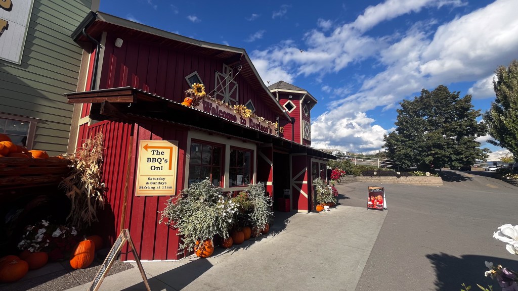 Start a new family tradition at Davison Orchards’ pumpkin patch | iNFOnews.ca
