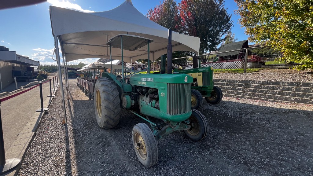 Start a new family tradition at Davison Orchards’ pumpkin patch | iNFOnews.ca