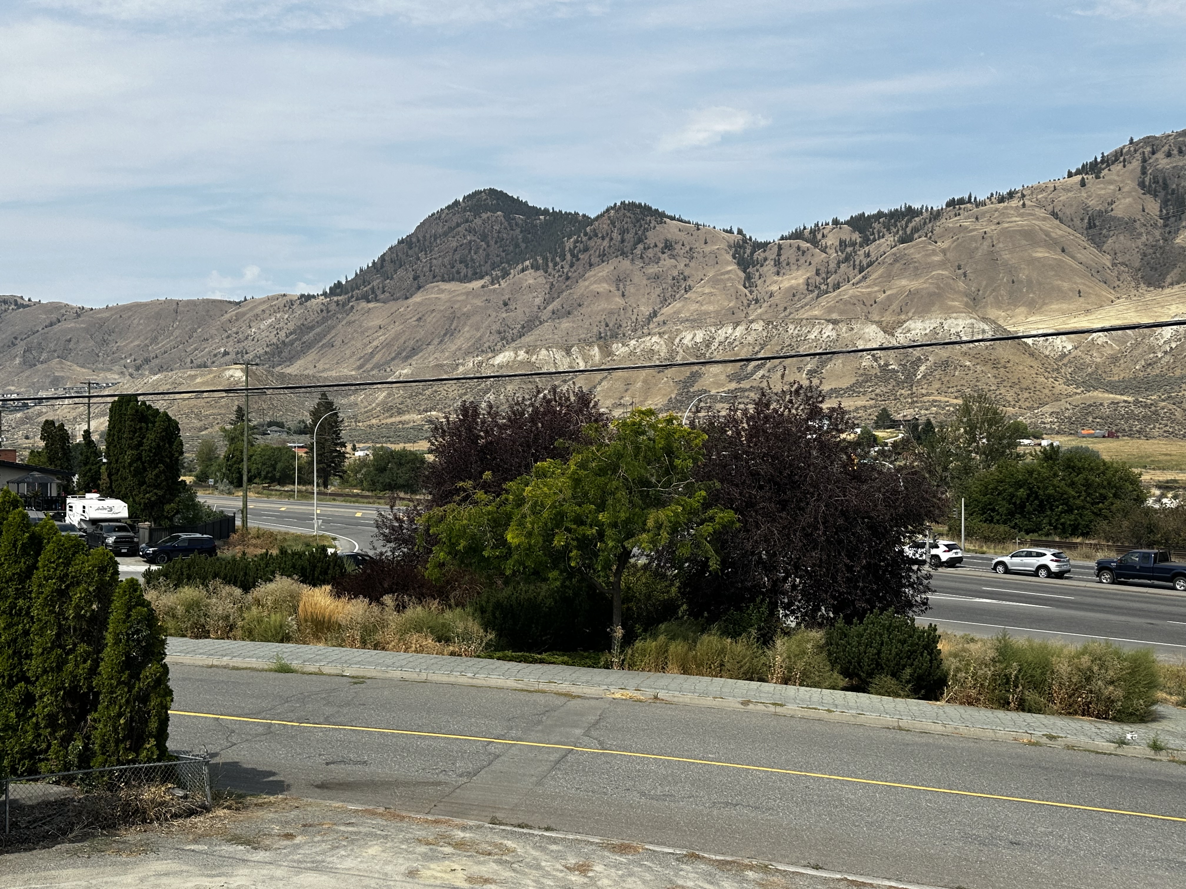 'SYMBOLS OF NEGLECT': Why Kamloops councillors left this city entrance to the weeds | iNFOnews.ca