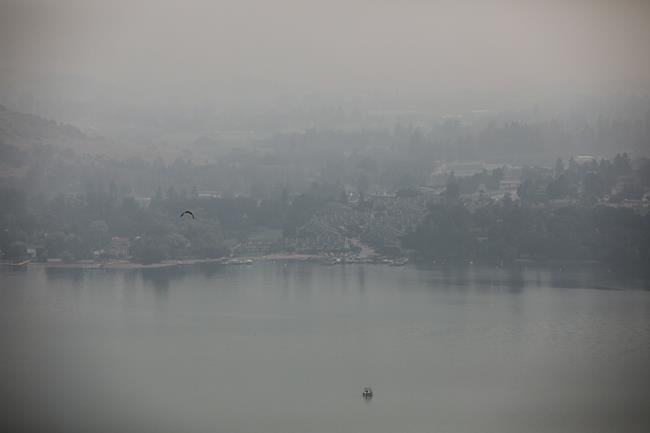 Scent of smoke: B.C. wineries look for ways to cut wildfire risks | iNFOnews.ca