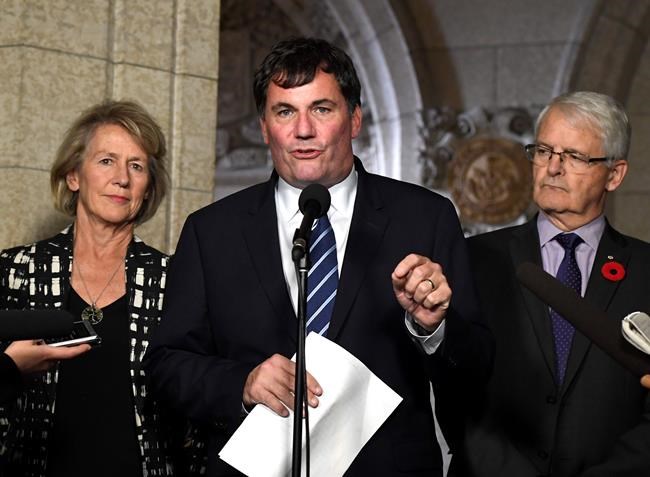 Boats told to stay at least 200 metres away from killer whales off B.C. coast | iNFOnews.ca