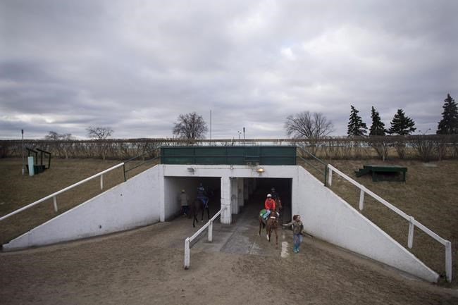 Woodbine Entertainment says it will continue to stable horses on backstretch | iNFOnews.ca
