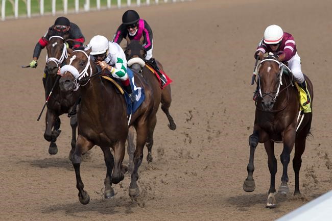 Clayton looking to secure trainer Kevin Attard his first Queen's Plate win | iNFOnews.ca Clayton looking to secure trainer Kevin Attard his first Queen's Plate win | iNFOnews.ca