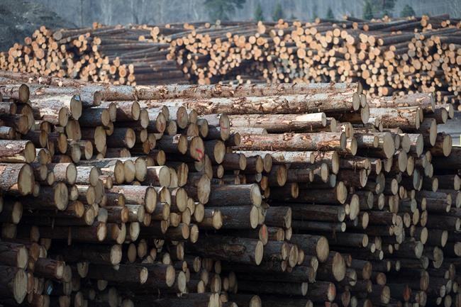 Canadian producers cheer, U.S. denounces WTO decision on softwood lumber | iNFOnews.ca Canadian producers cheer, U.S. denounces WTO decision on softwood lumber | iNFOnews.ca