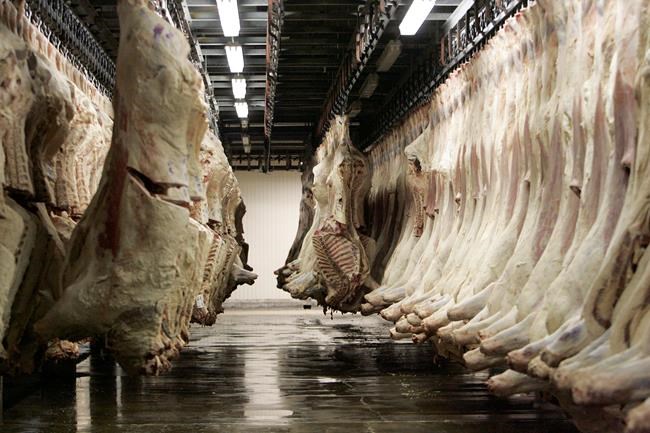 Preventive measures at Alberta meat plants came too late to stop outbreaks | iNFOnews.ca CP657169234