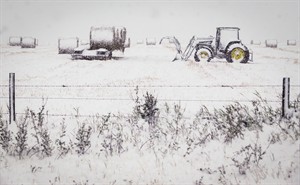 CP29819081