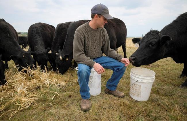 Customers, especially millennials, driving changes to beef industry standards | iNFOnews.ca Customers, especially millennials, driving changes to beef industry standards | iNFOnews.ca