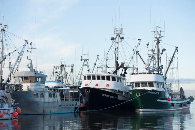 Recommendations from the Transportation Safety Board on fishing vessels | iNFOnews.ca Recommendations from the Transportation Safety Board on fishing vessels | iNFOnews.ca
