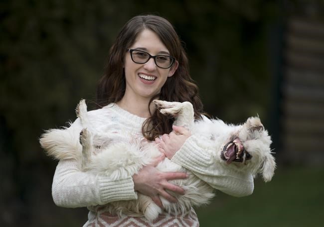 Puppy from Iran that had acid thrown on her face to have surgery in Vancouver | iNFOnews.ca