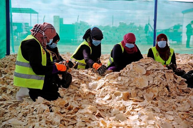 German president: Syria not ready for mass refugees return | iNFOnews.ca German president: Syria not ready for mass refugees return | iNFOnews.ca